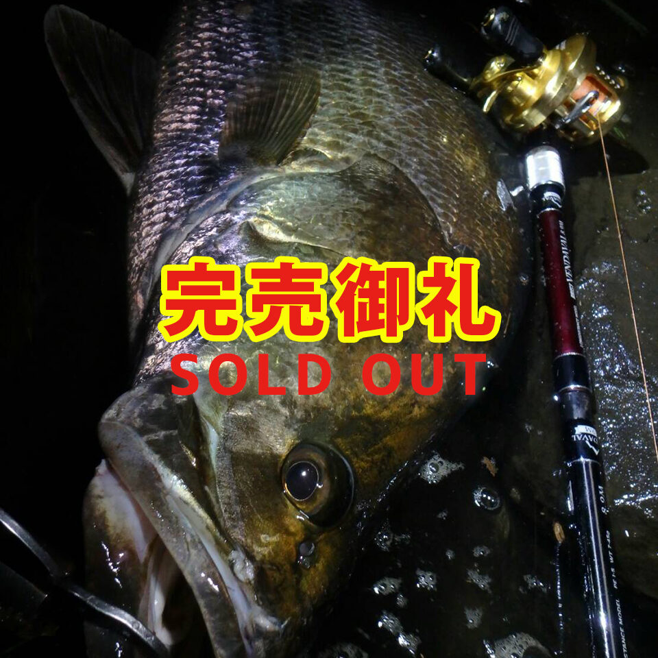 BRIST VENDAVAL 8.9M（ブリストベンダバール）のメーカー在庫が完売