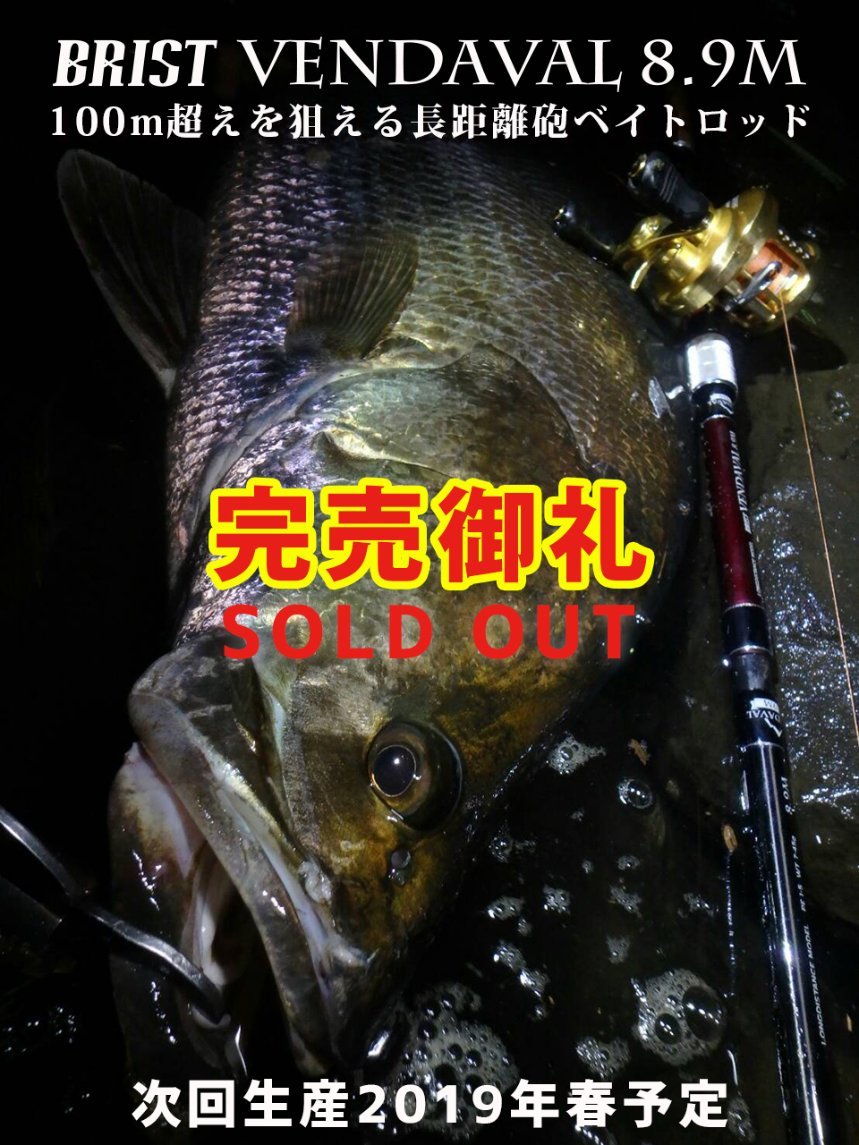 40000円に変更いたします22年購入使用1回 保証書付 ブリストベンダバール8.9M フィッシュマン