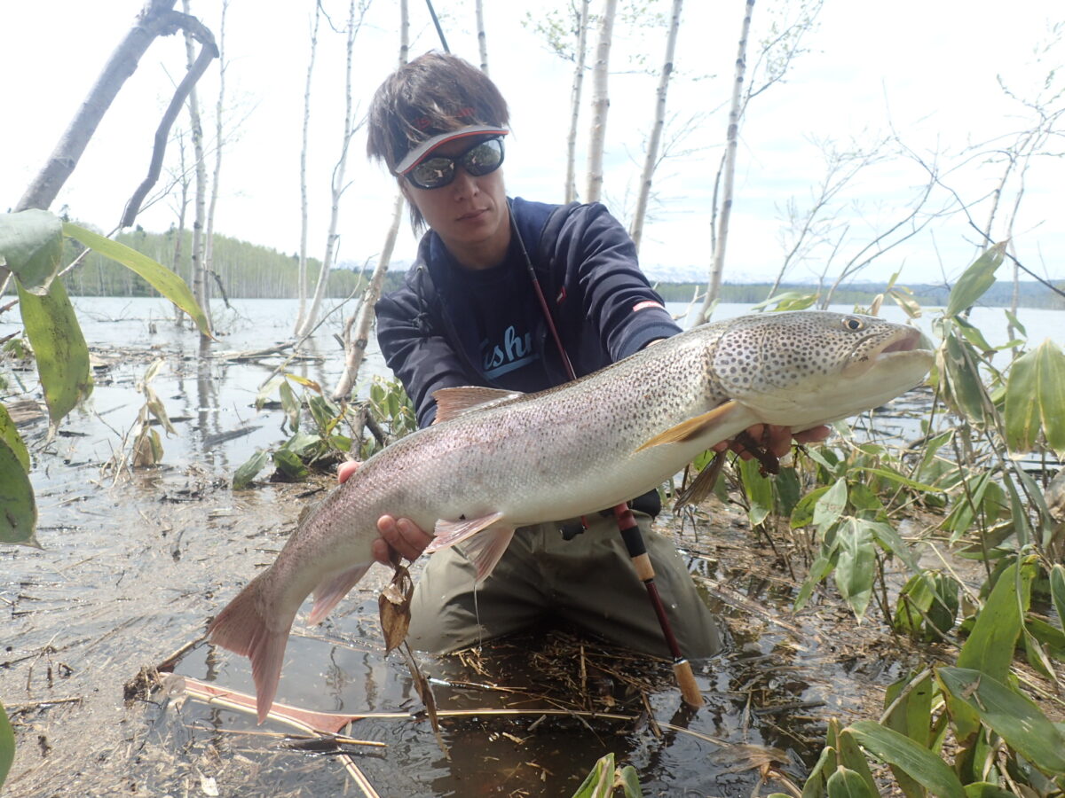 フィッシュマン　CRAWLA9.2L+ Beams BeamsCRAWLA9.2L＋（ビームス クローラ）|シーバス