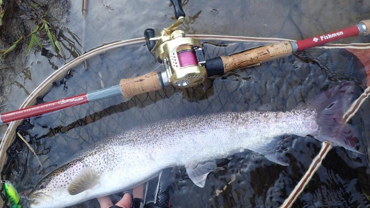 Beams7.10MHを、手にイトウと遊んでもらいに行ってきました - Fishman