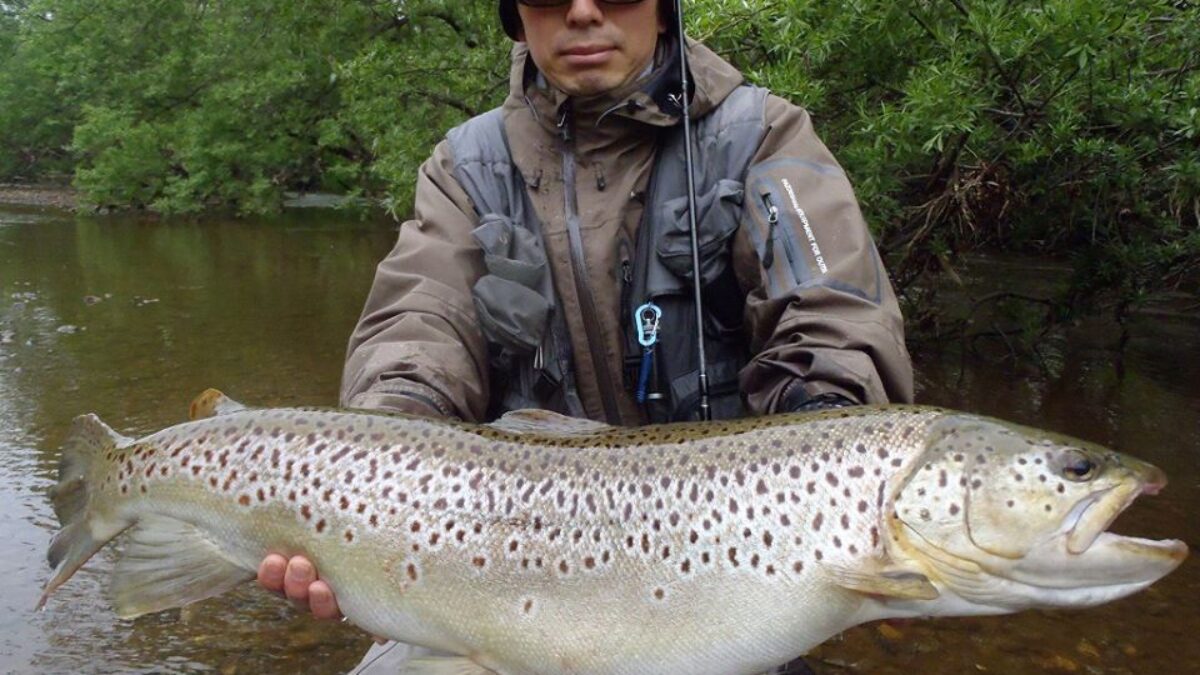 18447123_797741340391515_77599