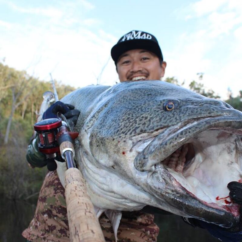 夢のモンスターマーレーコッドを獲る事が出来ました。 - Fishman