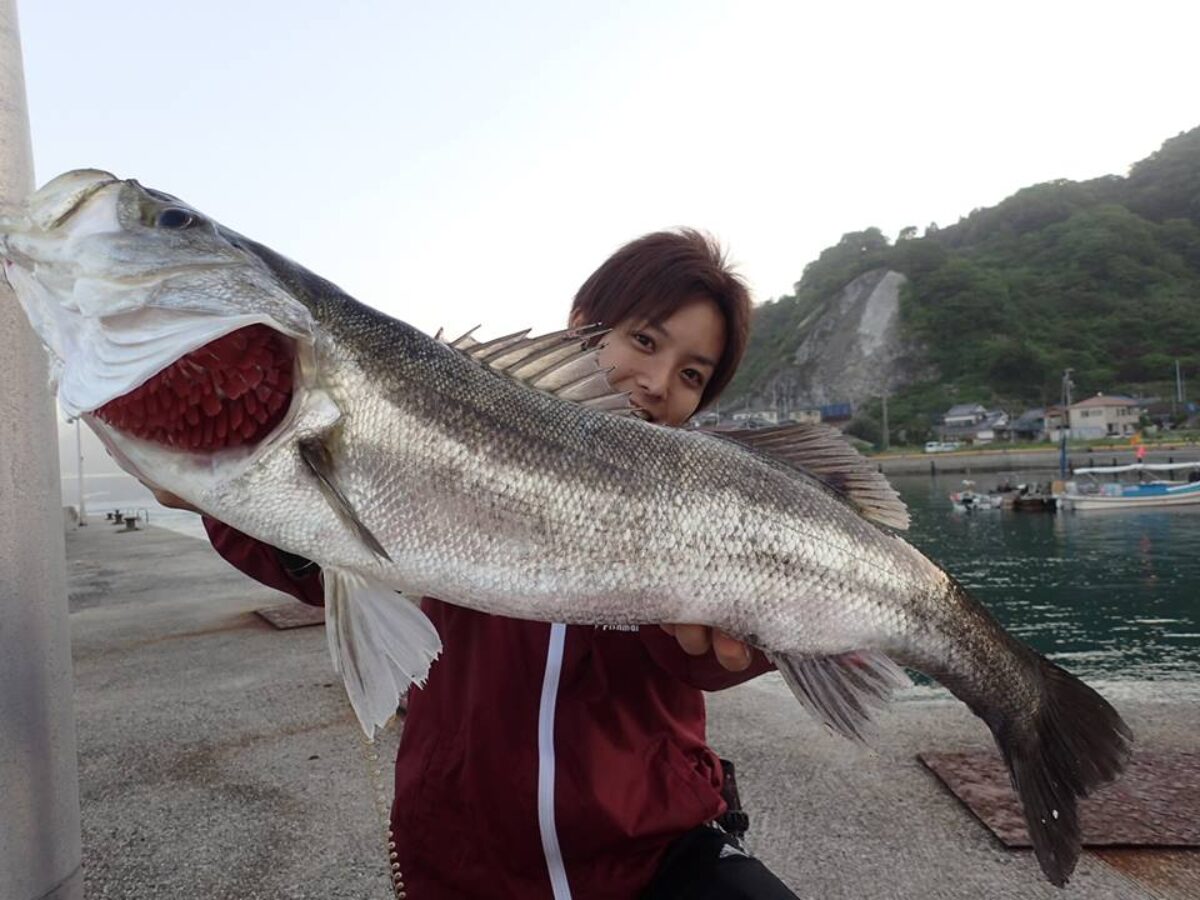 前回ランカーシーバスフィーバーした味をしめまたまたとびしま海道へと 