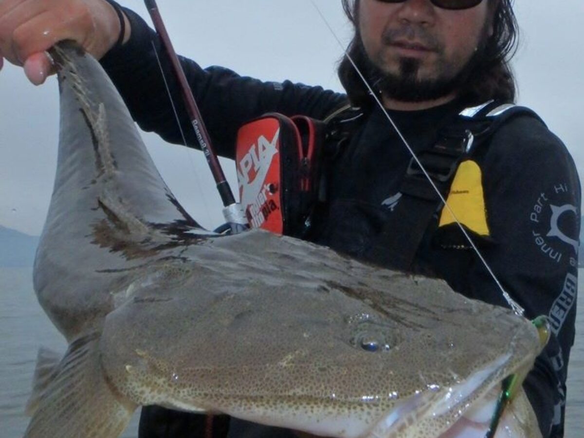 83L+で最もやってみたかった釣りは河口域干潟でのマゴチ釣り 83L+で最もやってみたかった釣りは河口域干潟でのマゴチ釣り