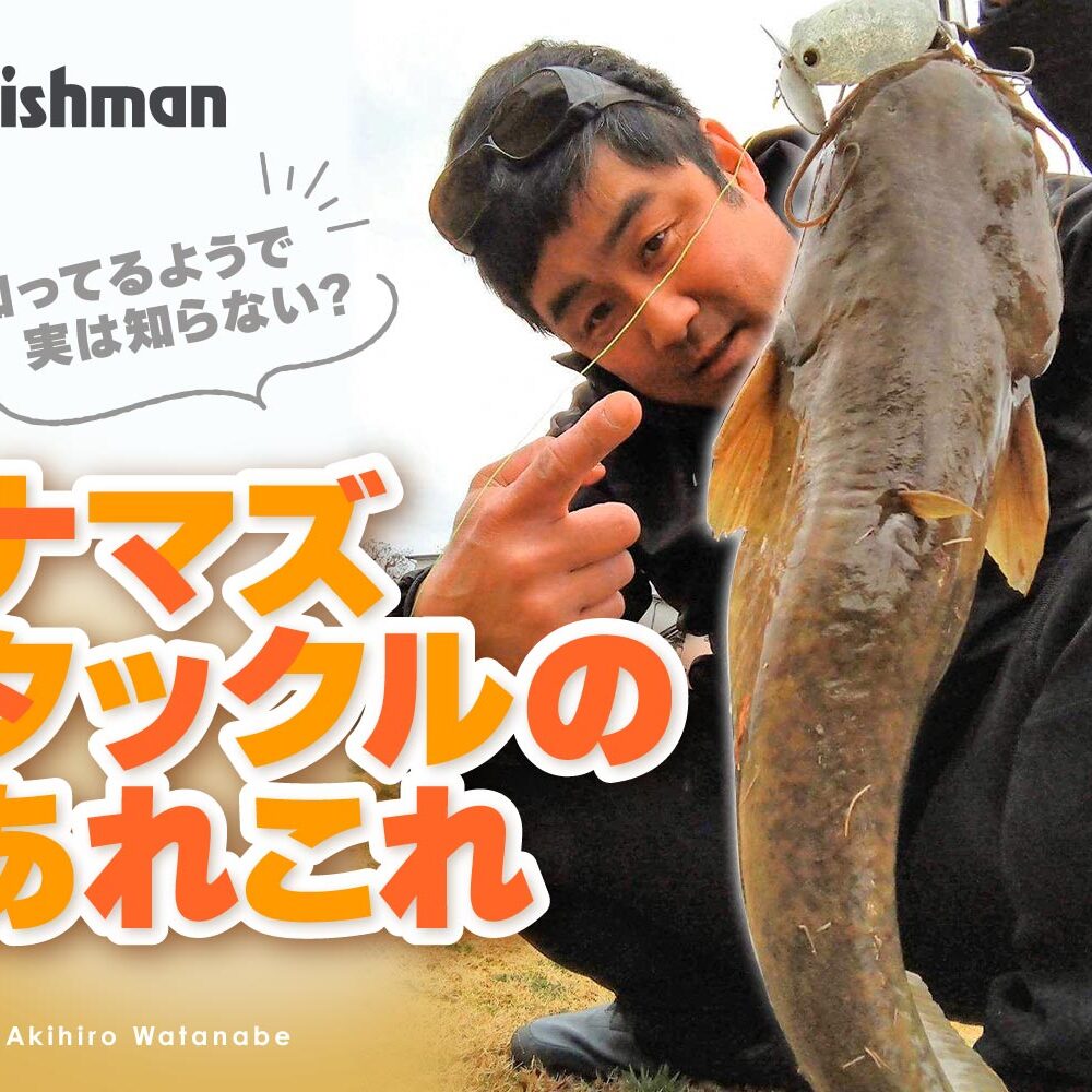 知ってるようで実は知らない？最新ナマズタックルのあれこれ