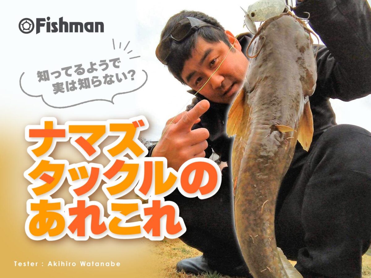 N*u様 ナマズ、バス釣り用　ベイトロッド、リール コラム】トップナマズゲームに必要なもの【タックル＋α編