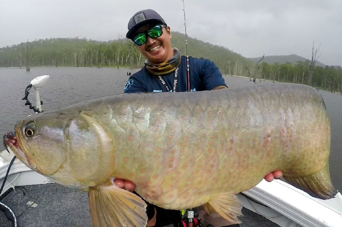 今回特別カットのみフィッシュテール1500 2024年02月29日(木) 宮城県 仙台南店の釣果です。[釣具の