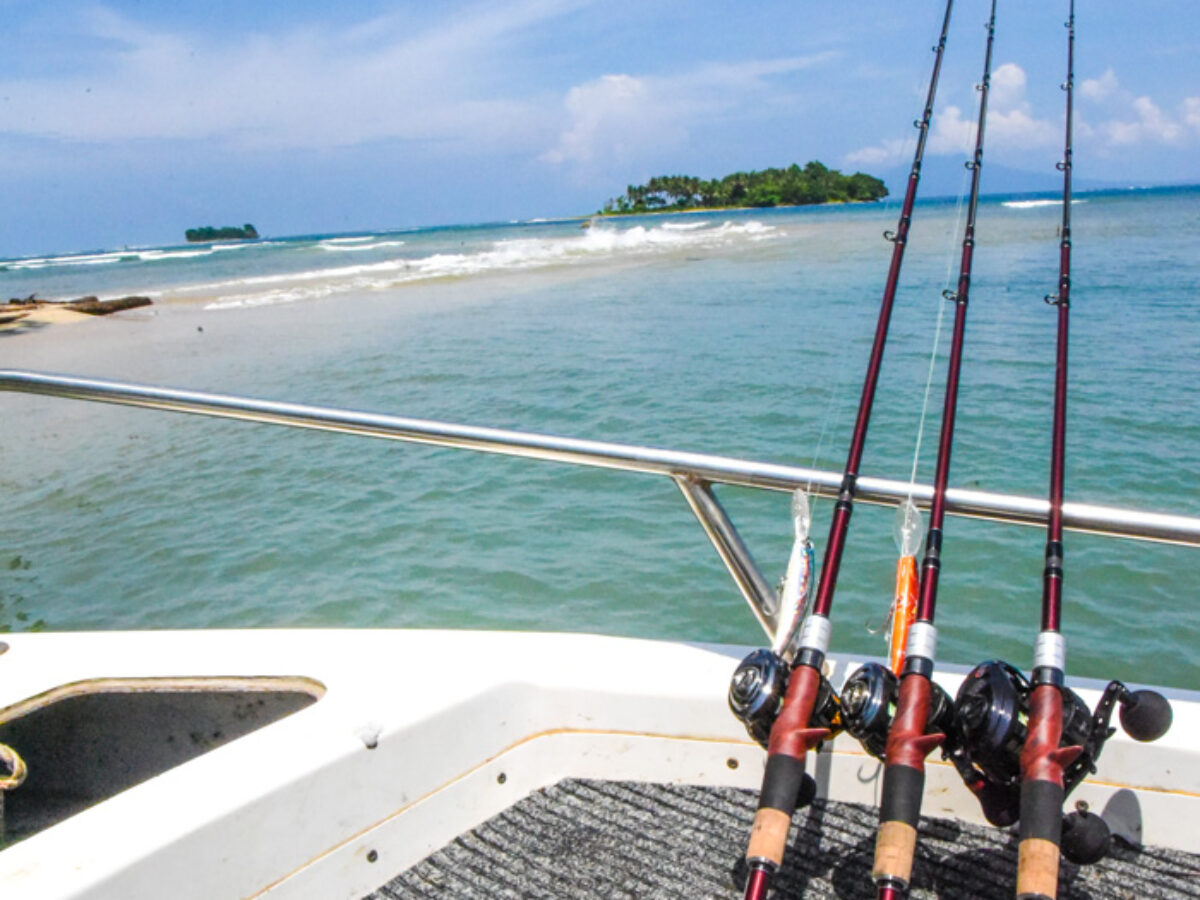 BC4シリーズ】 - Fishman（フィッシュマン） フィッシュマン BC4610MXH