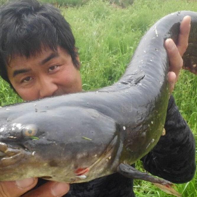 大型個体 - Fishman（フィッシュマン）