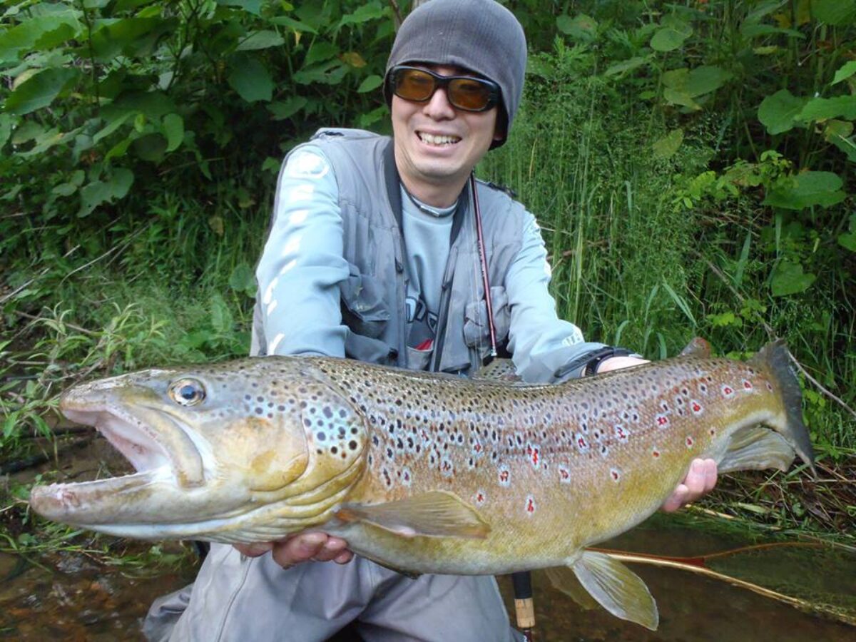 19060181_812534675578848_75230