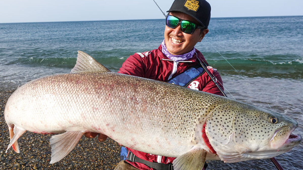 湖や本流トラウト/イトウ/シーバスに 未使用ABU Cardinal 155 湖や本流トラウト/イトウ/シーバスに 未使用ABU Cardinal 155