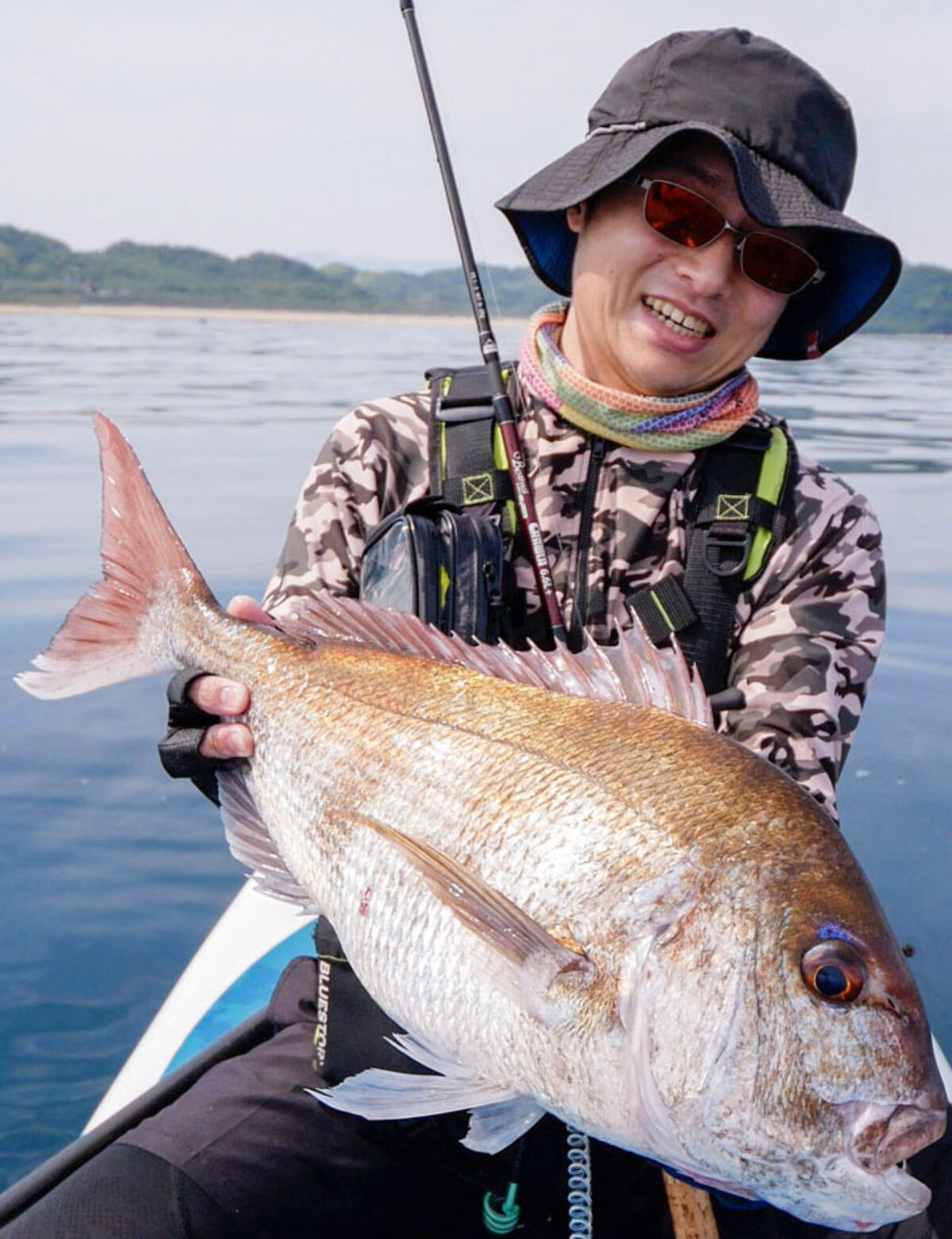 ヒラマサ？マダイ？それともヒラメ？『釣りモノが分からない』お悩み