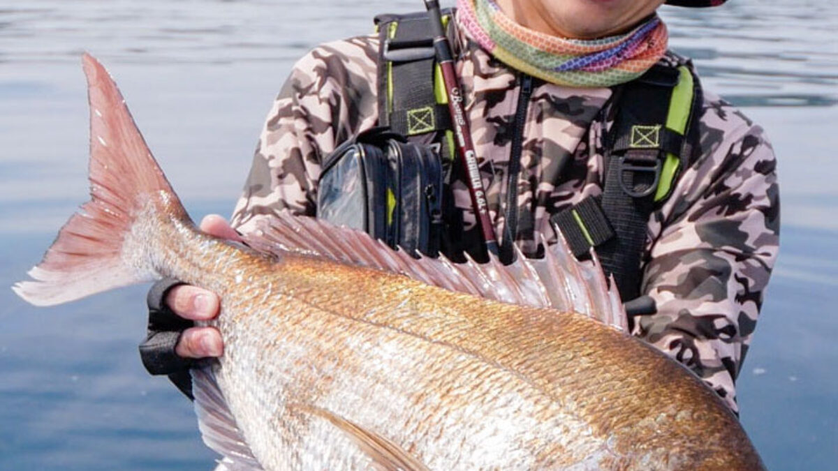 ヒラマサ？マダイ？それともヒラメ？『釣りモノが分からない』お悩み