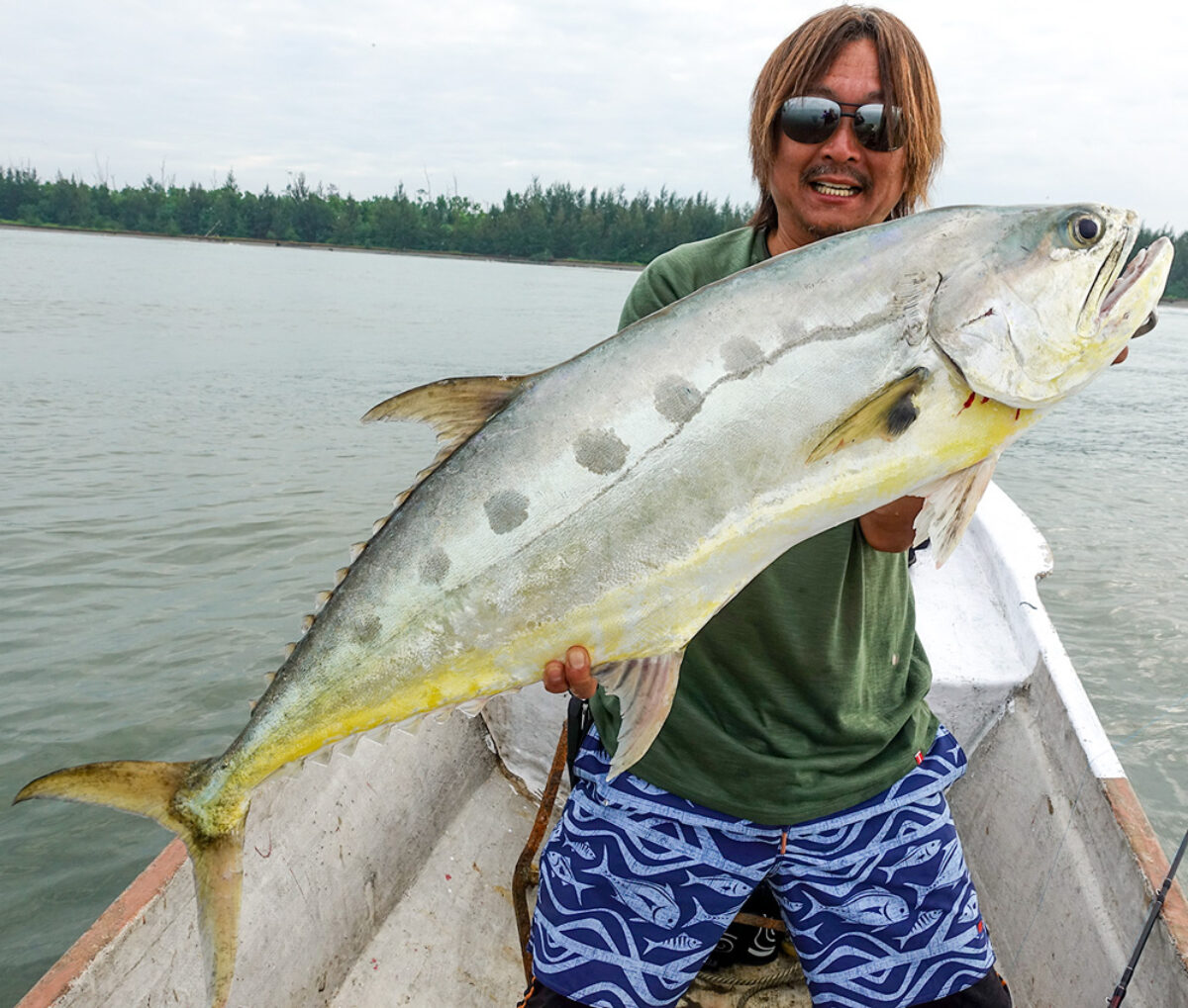 BC4シリーズ - Fishman（フィッシュマン）