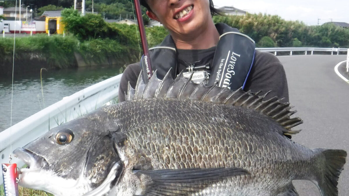 Fishman Beams CRAWLA 8.3L+（ビームス クローラ8.3エルプラス