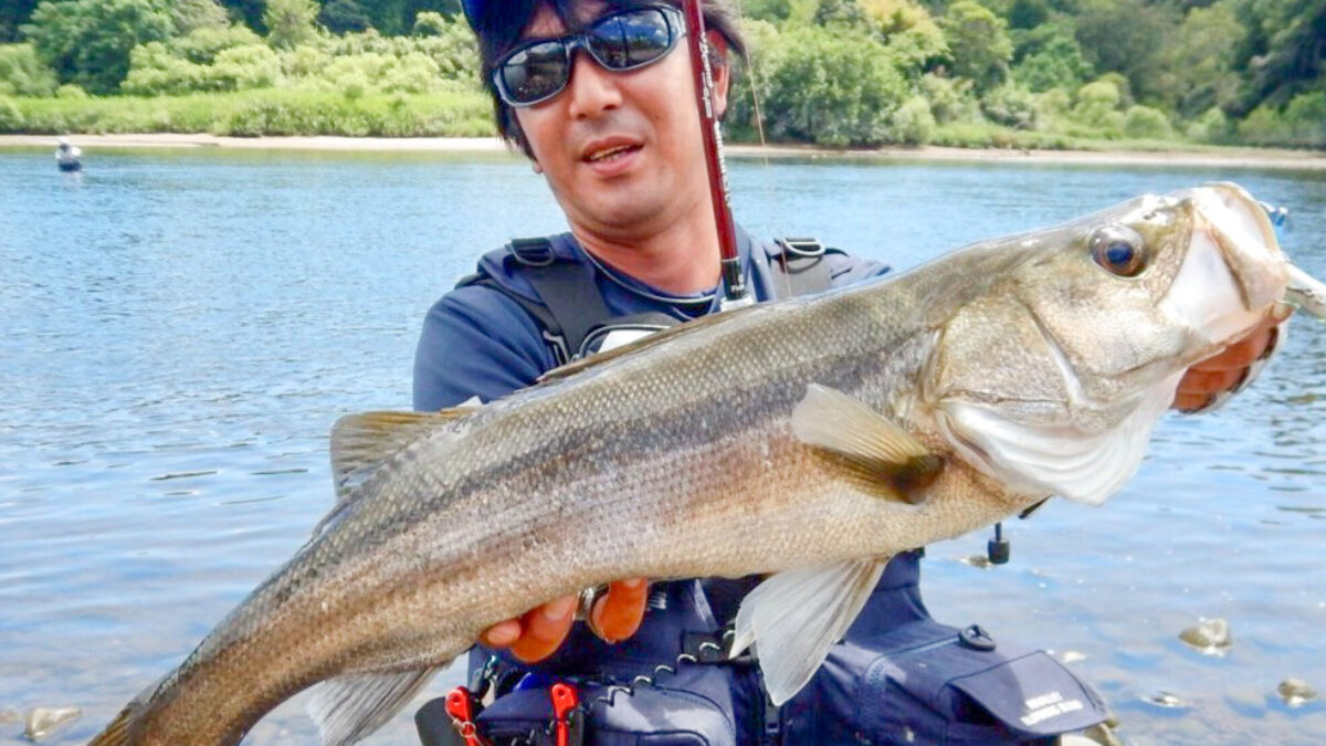 さかな 楽天市場】49215 デイトナ Daytona アルミビレット ミドル