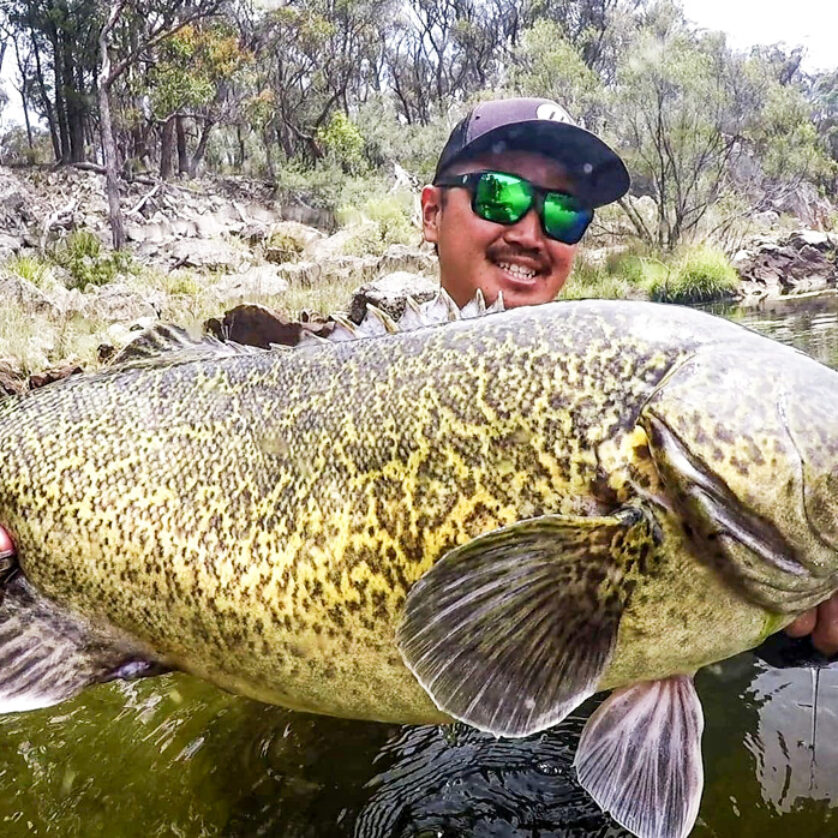 ロッキー　コーリーマン　ワンダーフィッシュ5.4 ロッキー コーリーマン ワンダーフィッシュ5.4 サーフボード