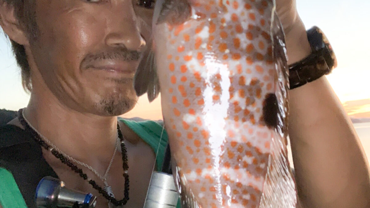 どっちのテーパー？ - Fishman（フィッシュマン）