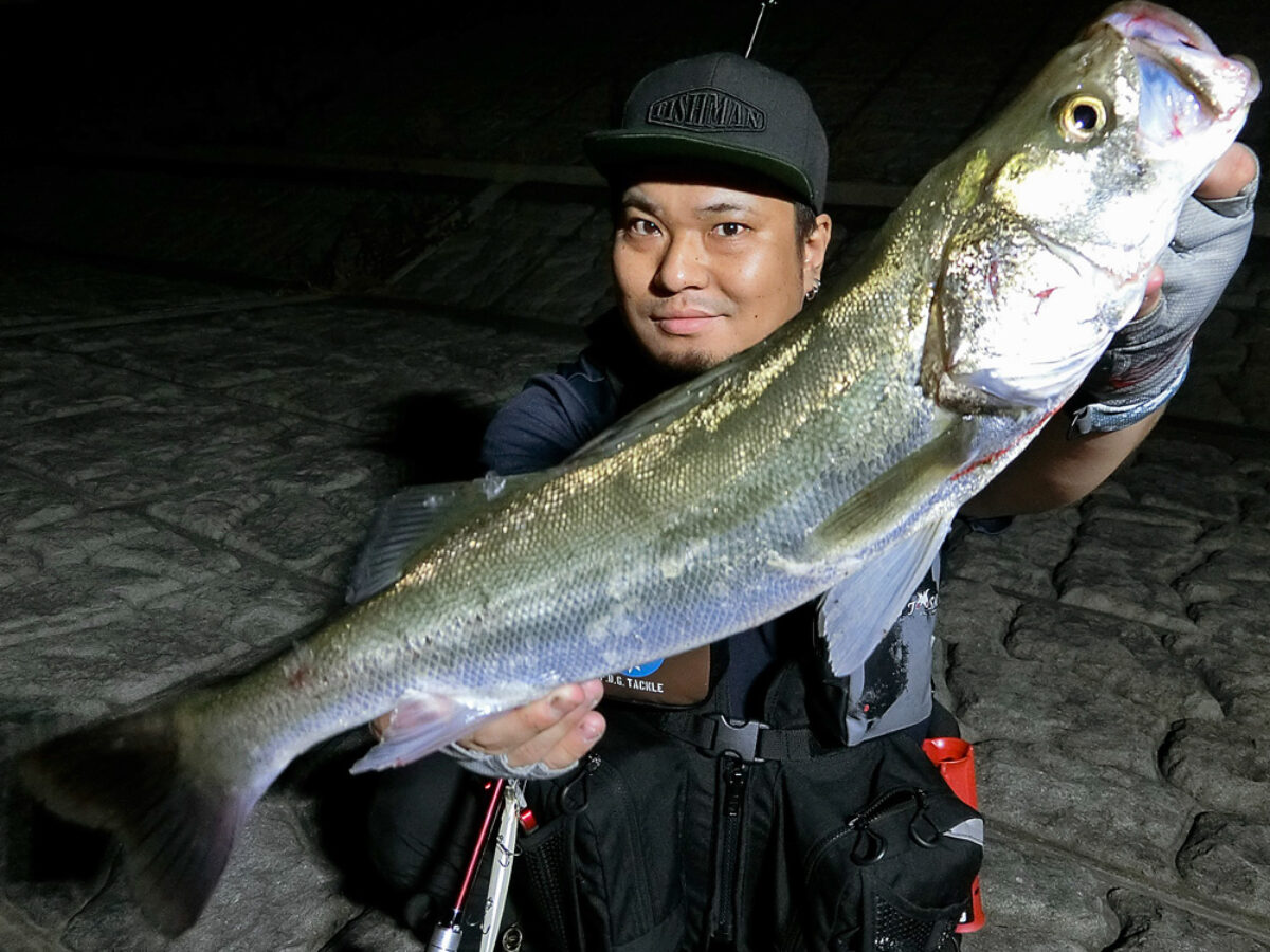 ロングロッドの性能を活かすリール選び - Fishman（フィッシュマン）