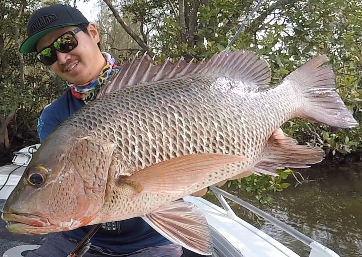 マングローブ ジャックス フィッシングシャツ 釣り魚 Lサイズ速乾性 1911281-1200x851.jpg