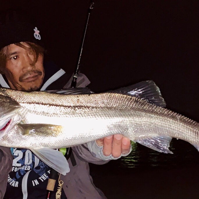 83L+を借りた時からずっと使い込み思った事 - Fishman