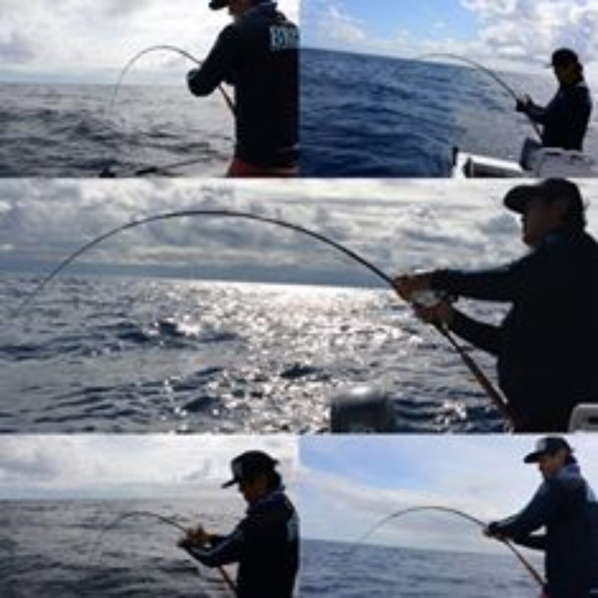 2015年はBRISTコモド6.10XHのテストに100%のちからを入れた年でした