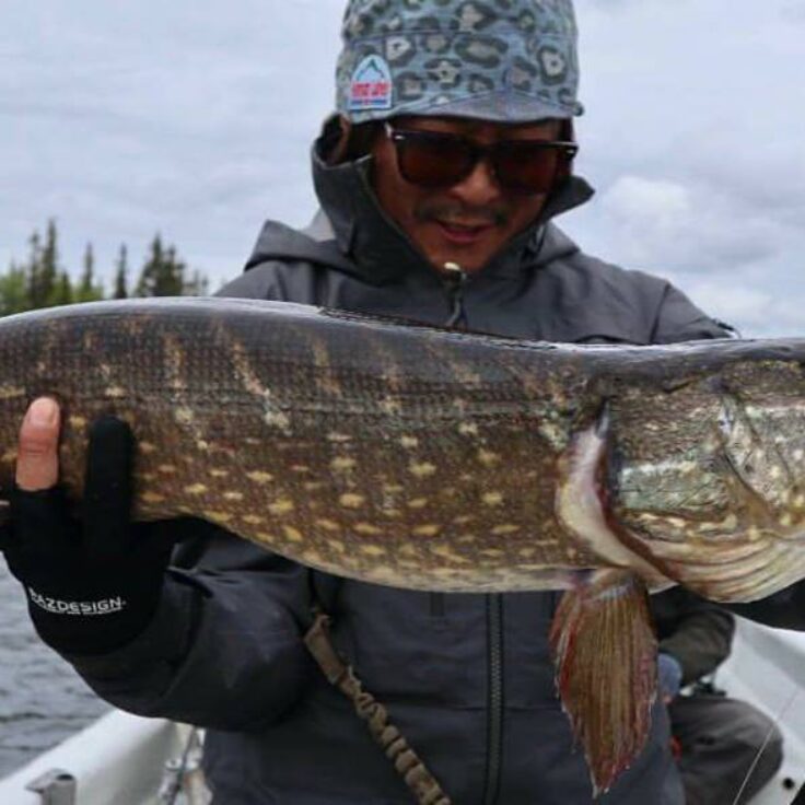 19511166_821779327987716_44481