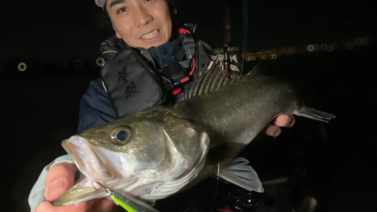 ボーン出品　ターコイズブルー　ユンカース 1E3DA007-15A5-442E-A061-