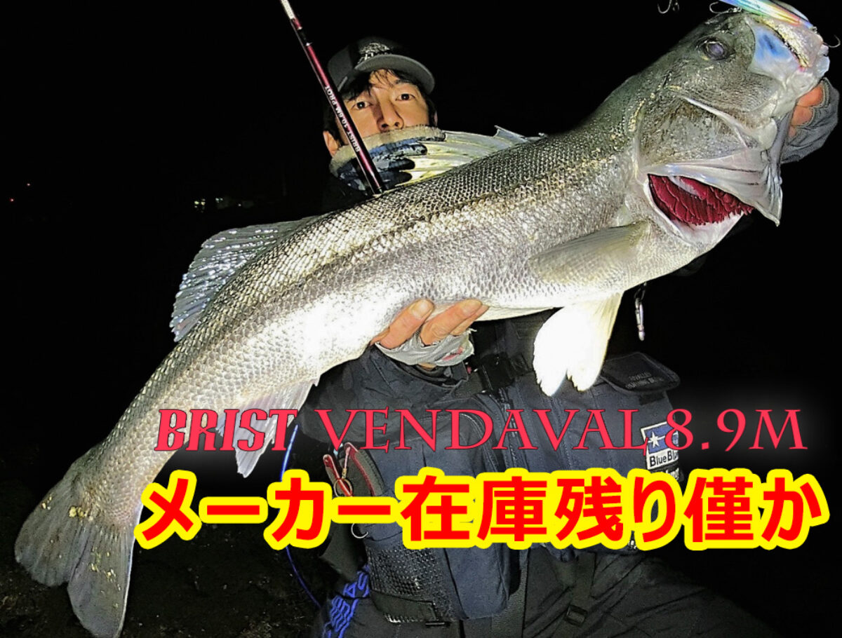 BRIST VENDAVAL8.9Mメーカー在庫残りわずか - Fishman（フィッシュマン）
