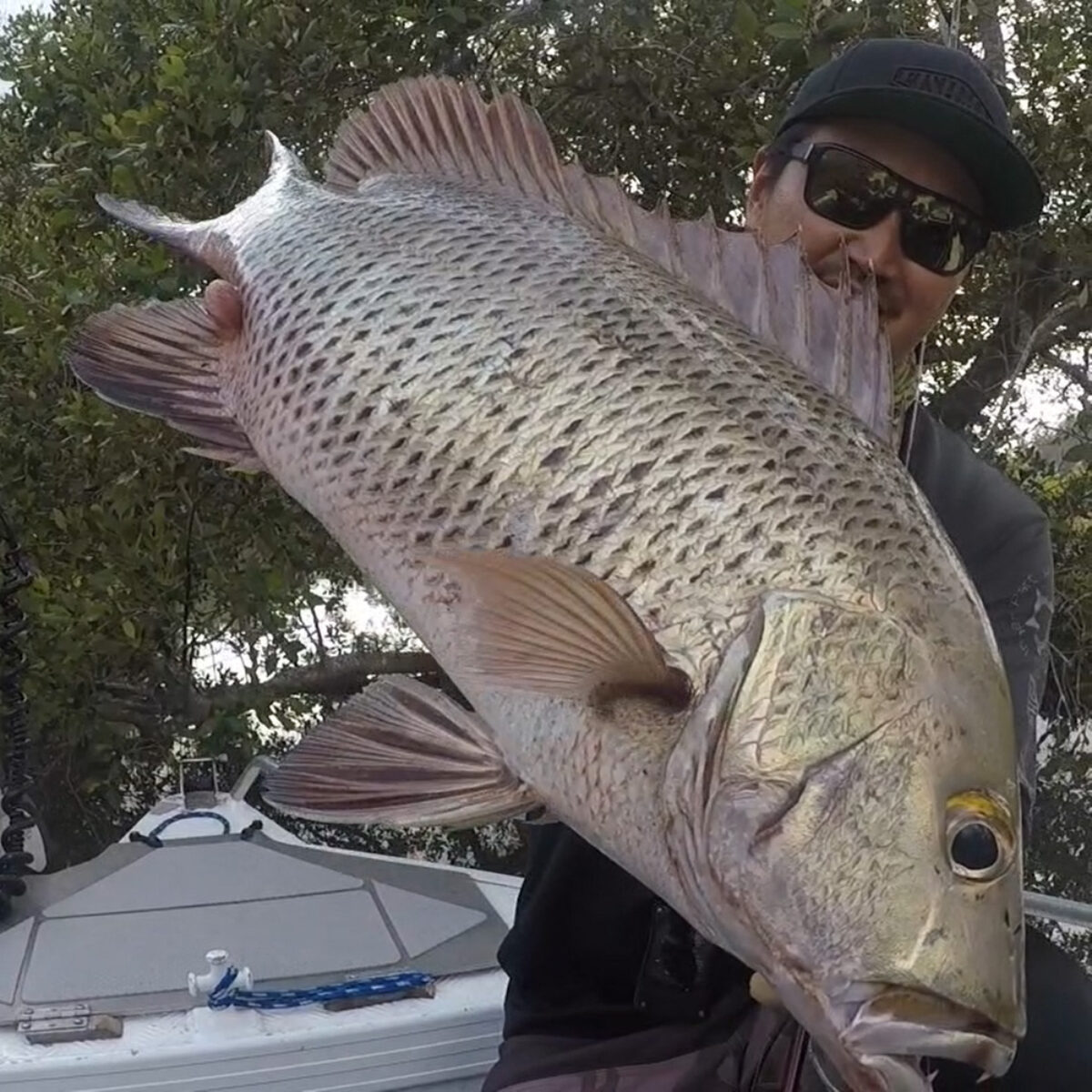 スキッピングで狙うマングローブジャック - Fishman（フィッシュマン）