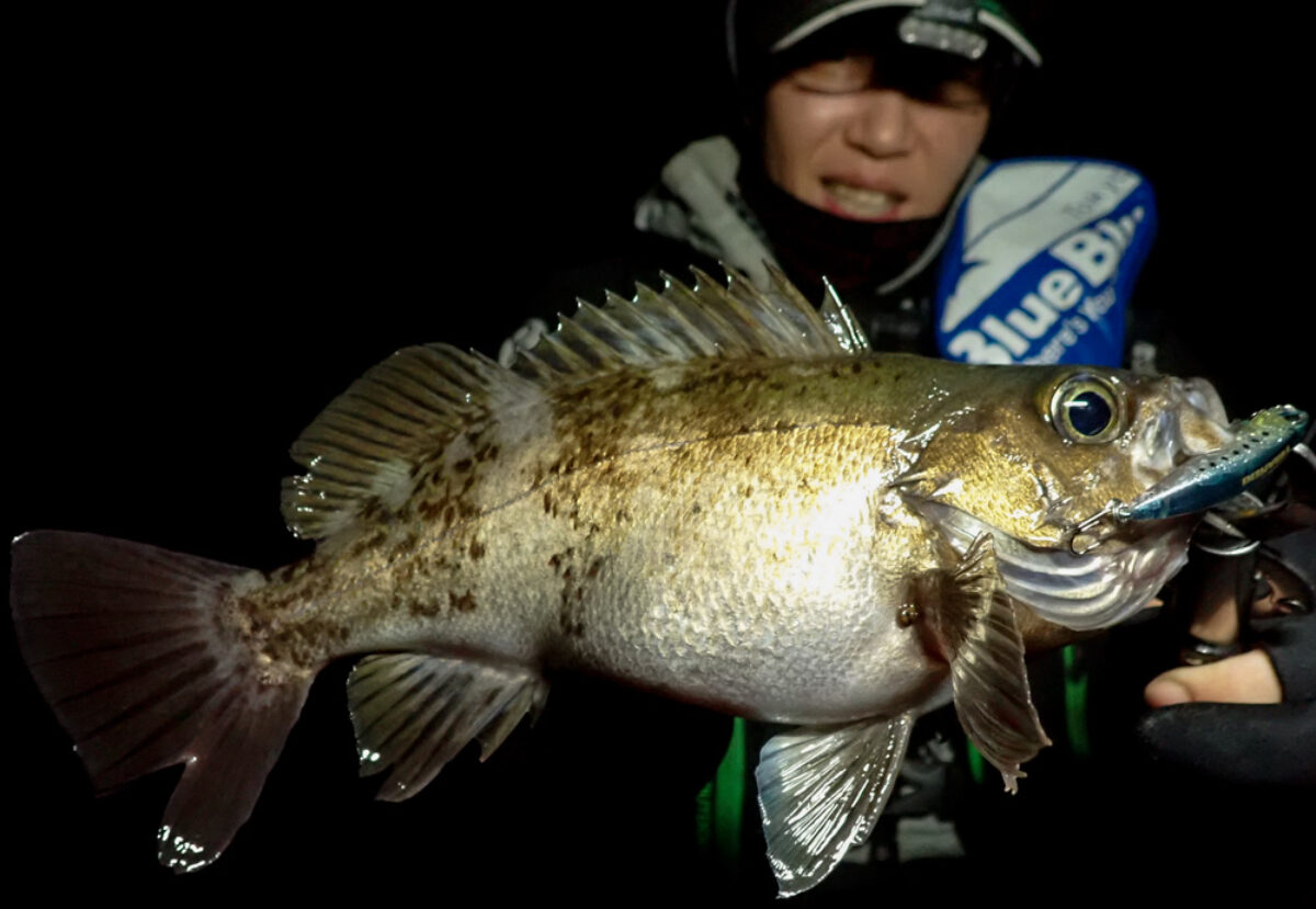 真冬の海からデカメバルを探し出す！ - Fishman（フィッシュマン）