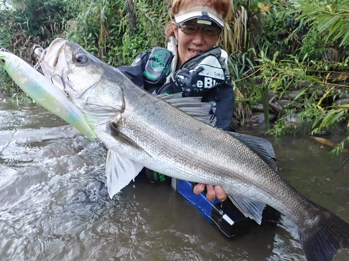 コモドの秋 ビッグルアーの秋 - Fishman(フィッシュマン) コモドの秋 ビッグルアーの秋 - Fishman(フィッシュマン)