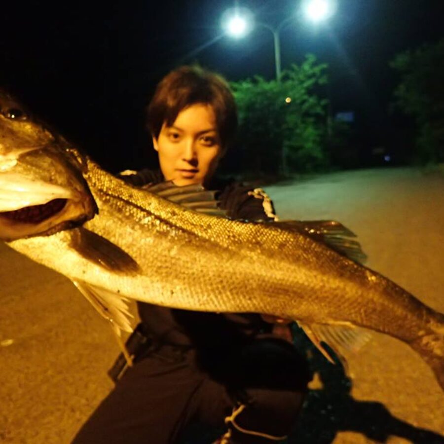 20108598_834722003360115_57909