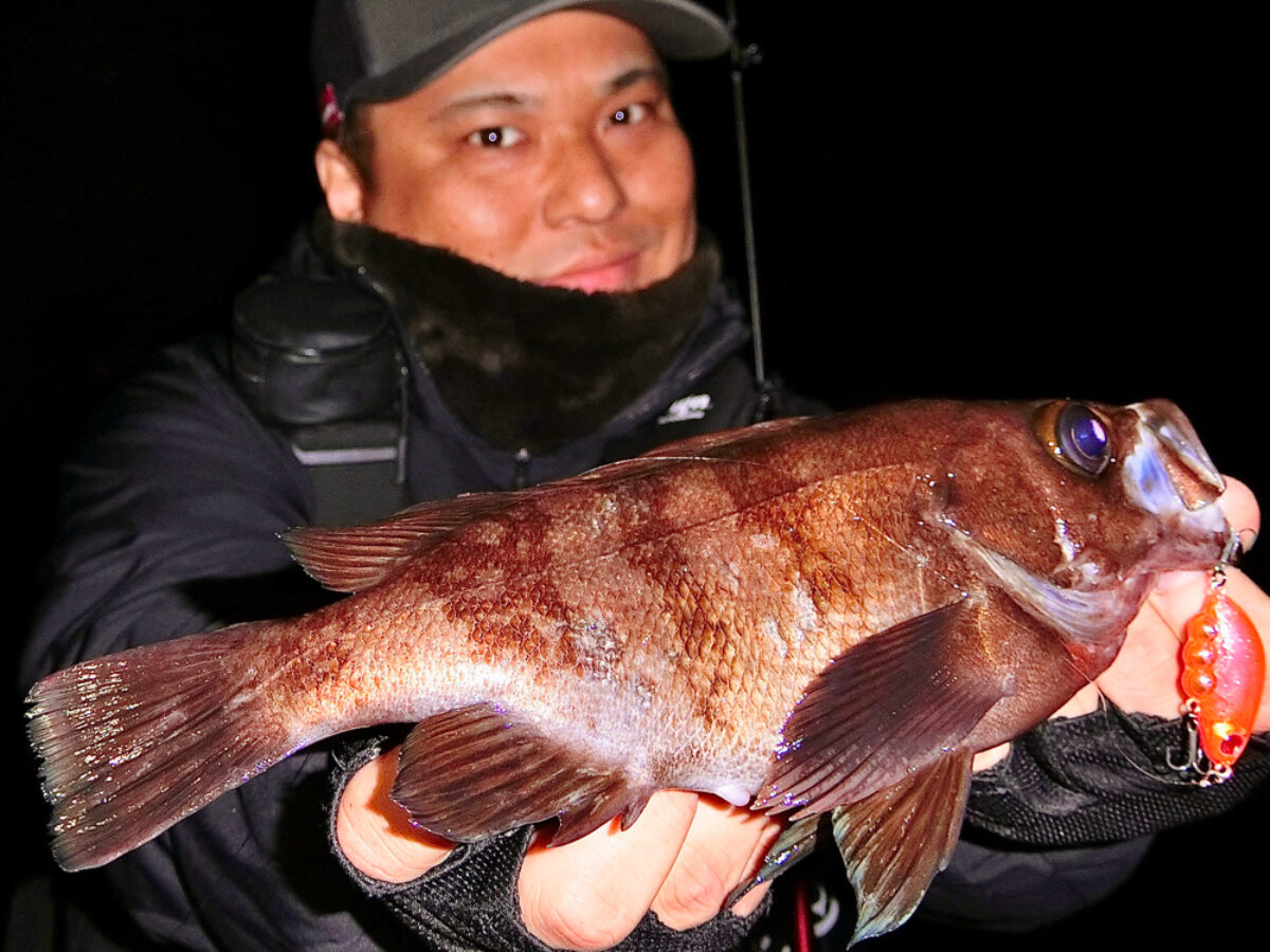 S2KNO Fishman ブリスト ベンダバール8.9M フィッシュマン BRIST