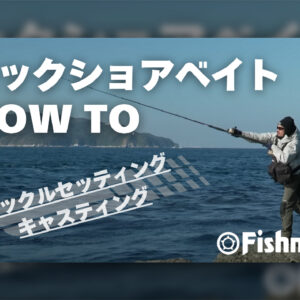 BRIST VAJRADANA11XH アーカイブ - Fishman（フィッシュマン）