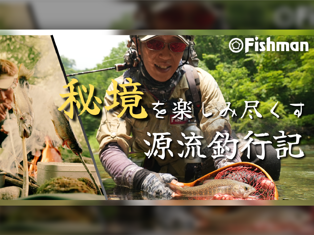 Beams blancsierra3.9UL LIMITED アーカイブ - Fishman（フィッシュマン）
