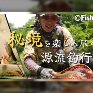 Beams blancsierra3.9UL LIMITED アーカイブ - Fishman