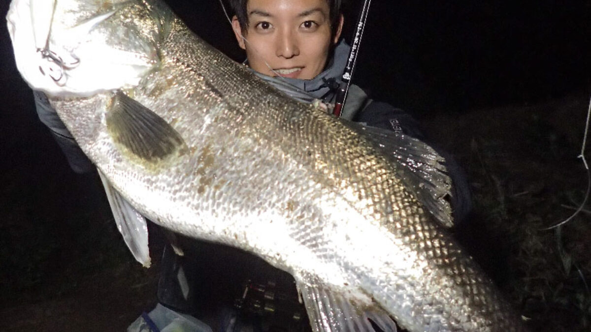 シーバス落ち鮎セット 210122-1-1200x675.jpg