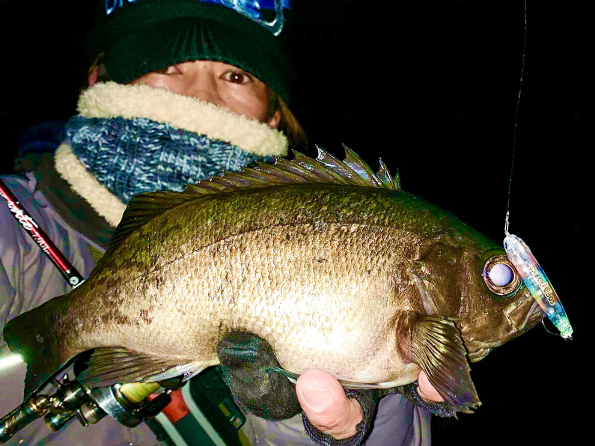 Beams inte7.9ULでライトなビッグゲーム - Fishman（フィッシュ