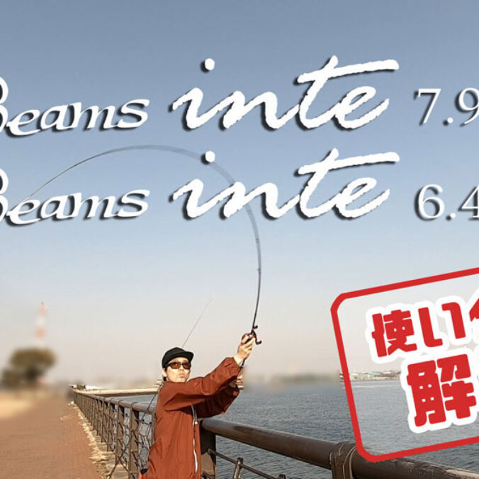 Beams inteシリーズで迷うあなたへ - Fishman（フィッシュマン）