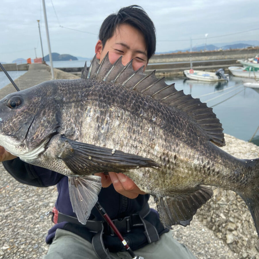 ライトゲームならBeams inte 7.9ULにお任せ！ - Fishman（フィッシュマン）