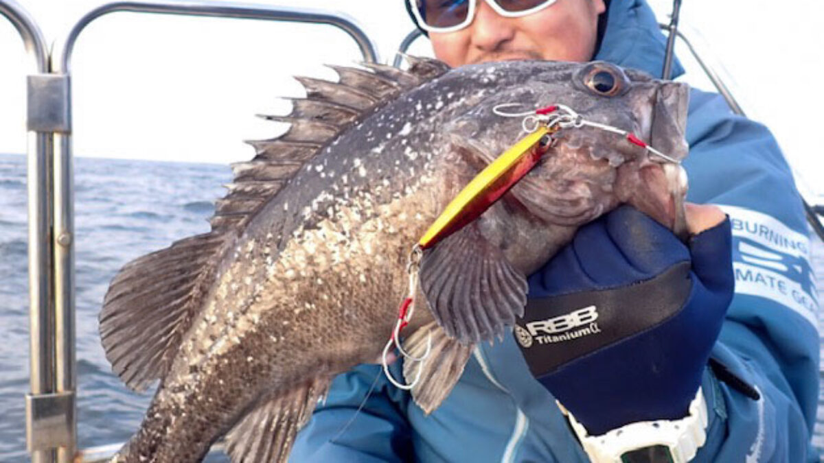 BeamsCRAWLA6.6L+のリールのセッティングについて - Fishman