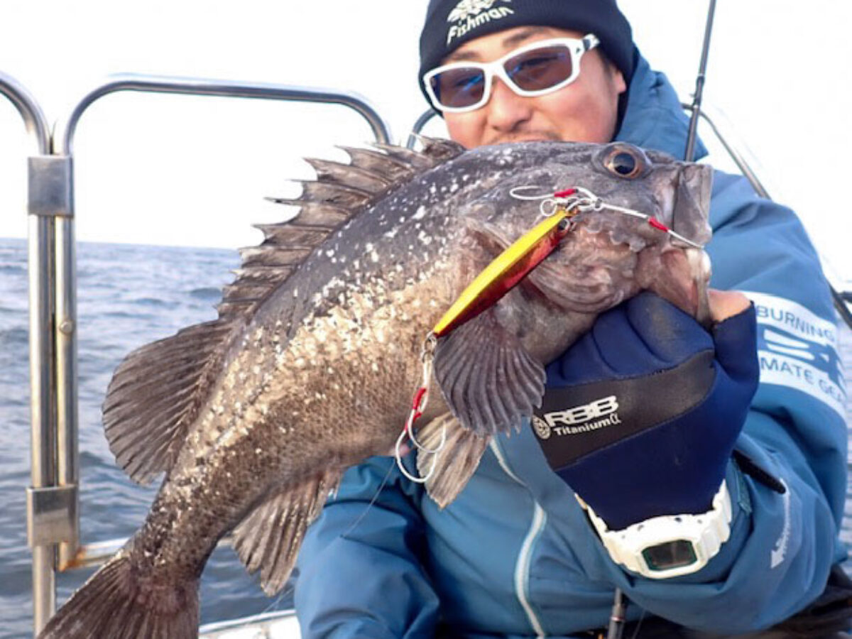 SLJにピッタリなBeams CRAWLA6.6L+ - Fishman（フィッシュマン）