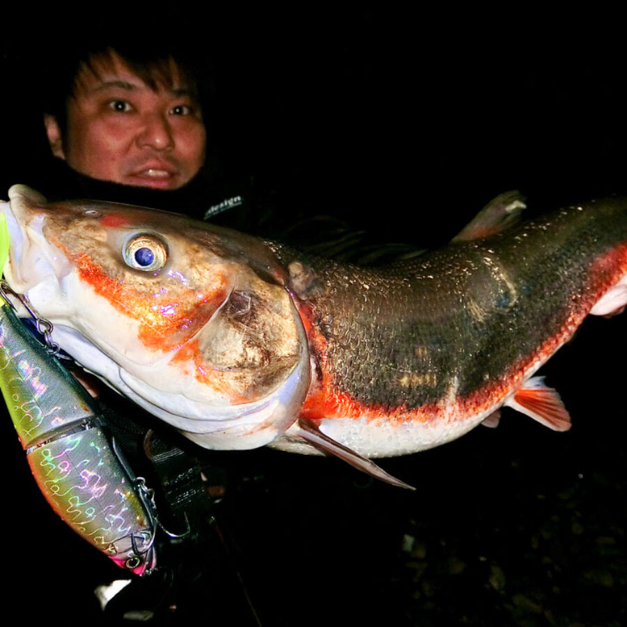 BC48.0MHの携行性の高さによる利点を活かし、未開の爆釣ポイント探し 