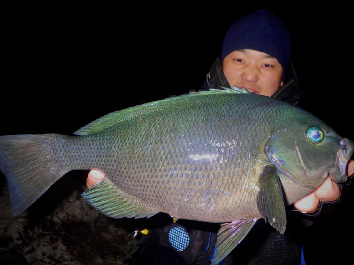 ΨΨ Fishman フィッシュマン ビームスプラッシュ3.9UL 目立った傷
