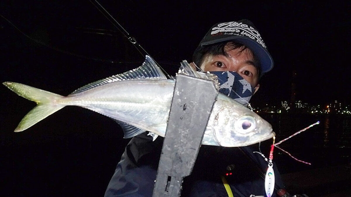 ライトゲーム：1：メバル：メッキ：シーバス：トラウト：アジング：ブラックバス ライトゲーム：1：メバル：メッキ：シーバス：トラウト