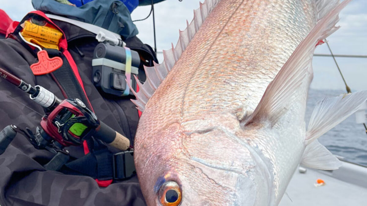 ライトタックルで、何が喰ってくるか分からない！？」Fishman