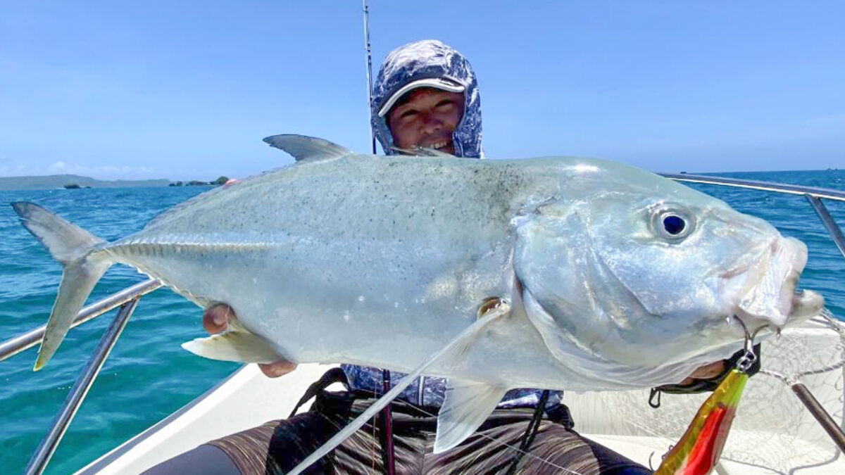 トロピカルフィッシュ 210715-1-1200x675.jpg