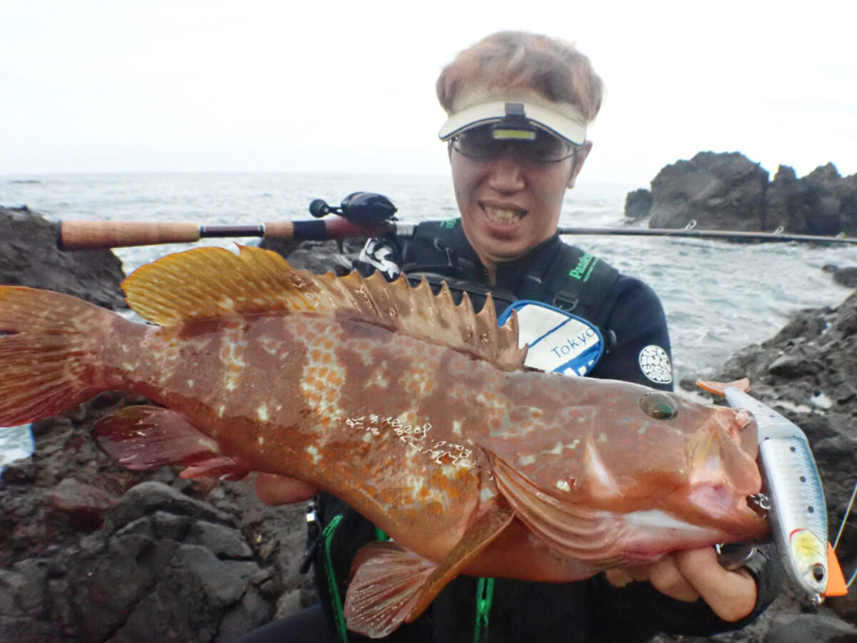 サルモ　　魚皮張り　ビックベイト Amazon.co.jp: ベビーフェイス/babyface BB180-SF 釣り用ルアー ビッグ