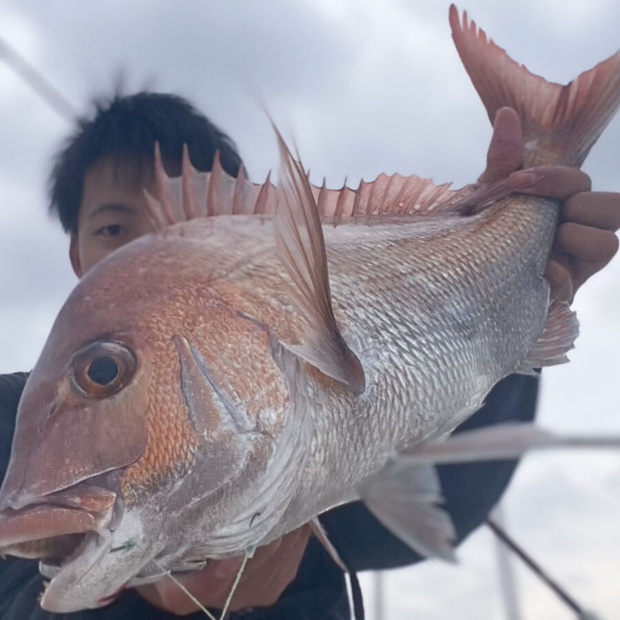  Man - バラ売可  Man 海外(タイ)オフショット Snow Man - バラ売可 Snow Man 海外(タイ)オフショット Snow Man